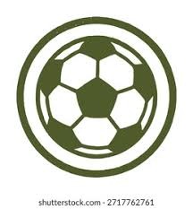 萨索洛官方：贝拉尔迪右小腿屈肌中度撕裂，已进入康复流程